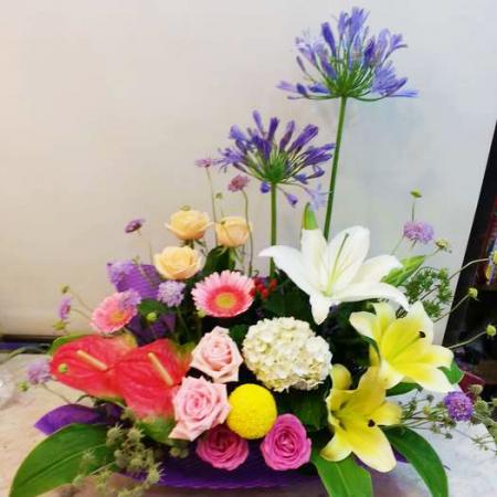 各式盆花【P003】
