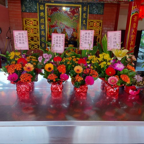 鮮花拜拜盆花